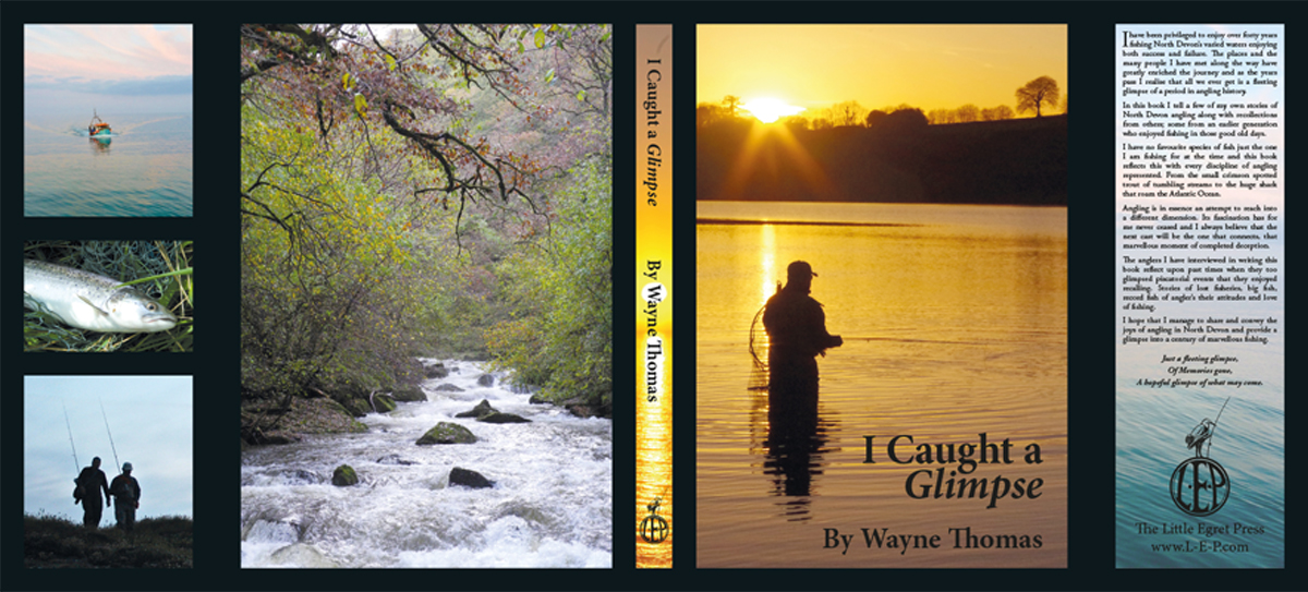 Pauline Castle's portfolio, book bits, book is I Caught a Glimpse by Wayne Thomas, the book's two dust jackets and the case foiling were designed for print production.